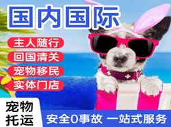 兴东航空托运国际宠物托运 【国